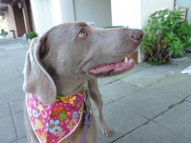 Kayda Profile(Medium)